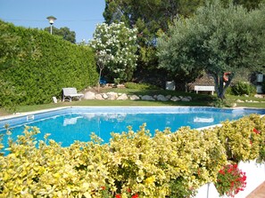 A swimming pool with a clear blue water surface, surrounded by lush greenery and a stone wall.