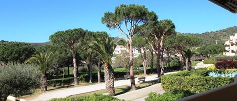 Overnatningsstedets område