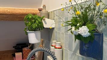 Une cuisine avec un évier, une plante suspendue et un mur recouvert de carreaux.