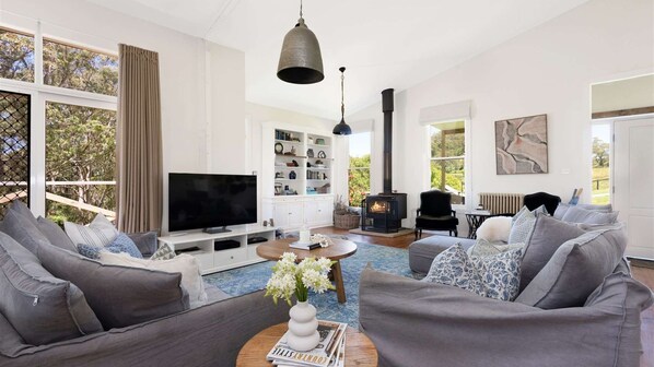 TV, fireplace, books