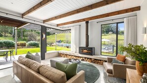 TV, fireplace, books