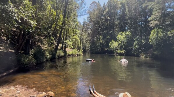 A river surrounded by dense forest.