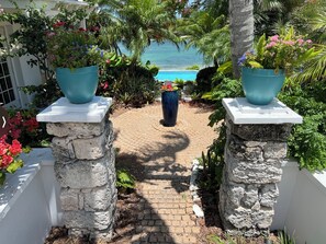 Property grounds - Saltwater Sanctuary-Secret garden in a tropical paradise (Hope Town)
