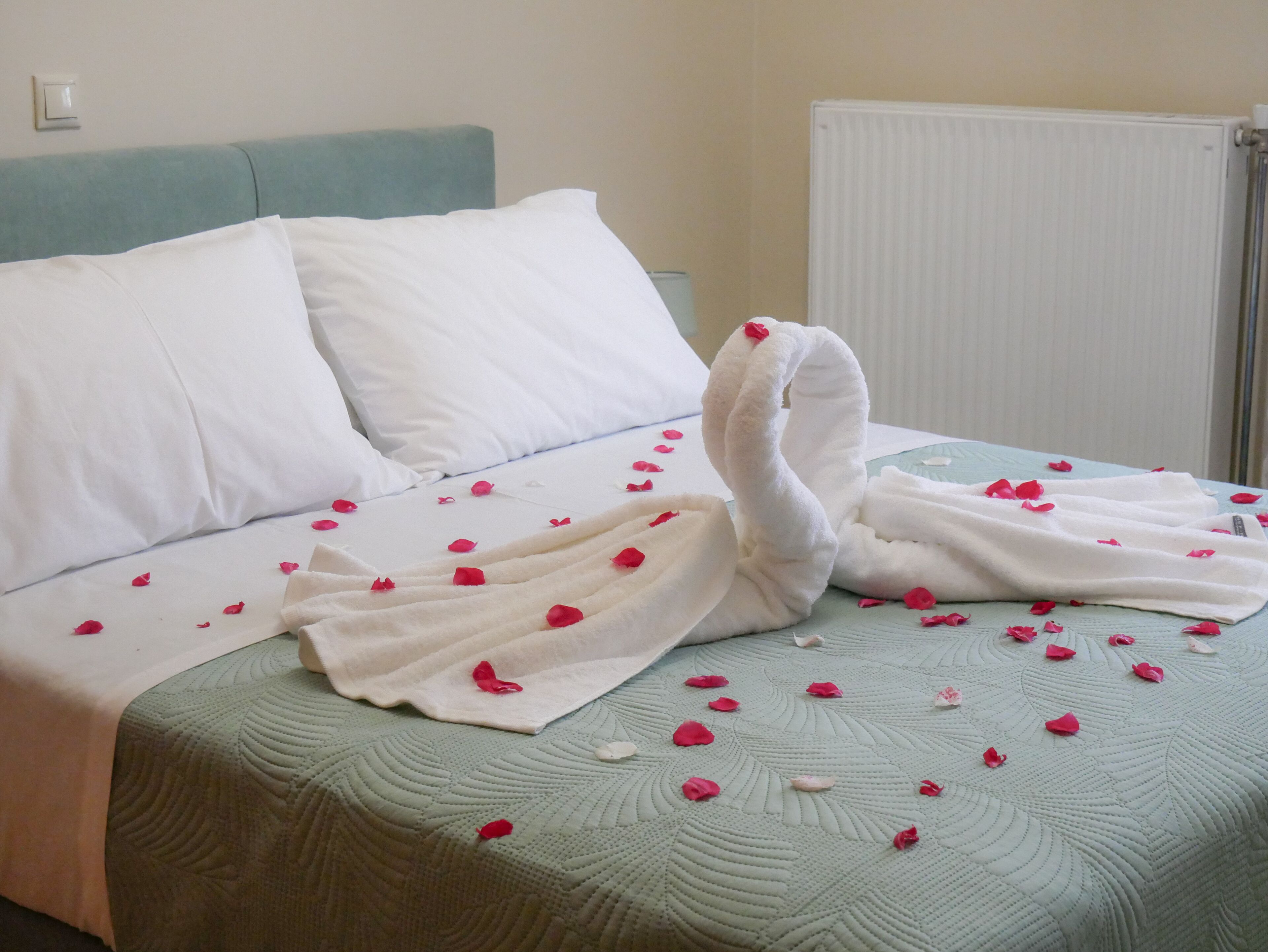 Una cama con almohadas blancas, una toalla con forma de cisne y pétalos de rosa esparcidos.