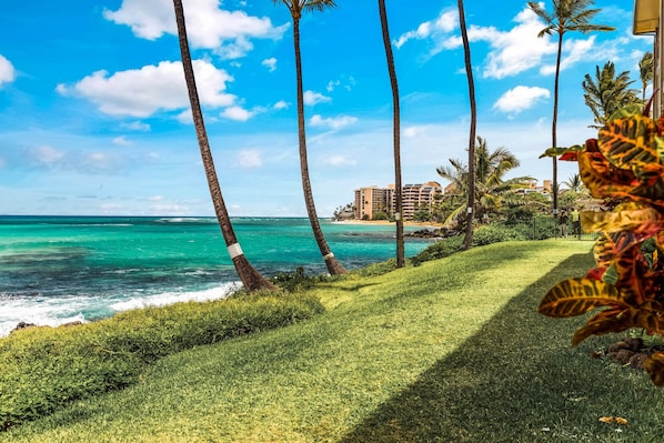 A coastal view with palm trees, a grassy path, and a building in the background.