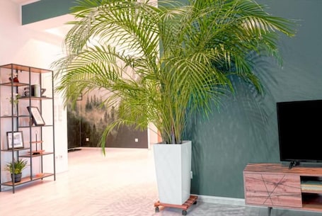 Interior. Hama Design Homes Lippstadt