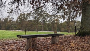 A wooden bench in a park with a grassy field and trees in the background. - Studio at Beechworth next to the forest. Pet friendly but please let us know. 
. (Beechworth)