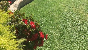 A well-maintained garden with a lawn, flower beds, and a birdbath. - Studio at Beechworth next to the forest. Pet friendly but please let us know. 
. (Beechworth)