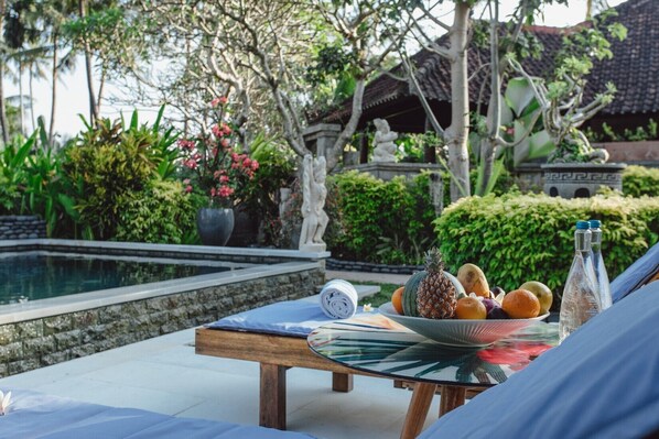 Pool - Kishi-Kishi ArtVilla (Blahbatuh)