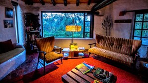 Un salon chaleureux avec un plafond en bois, une grande fenêtre donnant sur les arbres, deux fauteuils, un canapé et une table basse avec des livres.