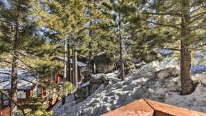 Un paisaje nevado con un banco de madera, pinos y un muro de piedra.