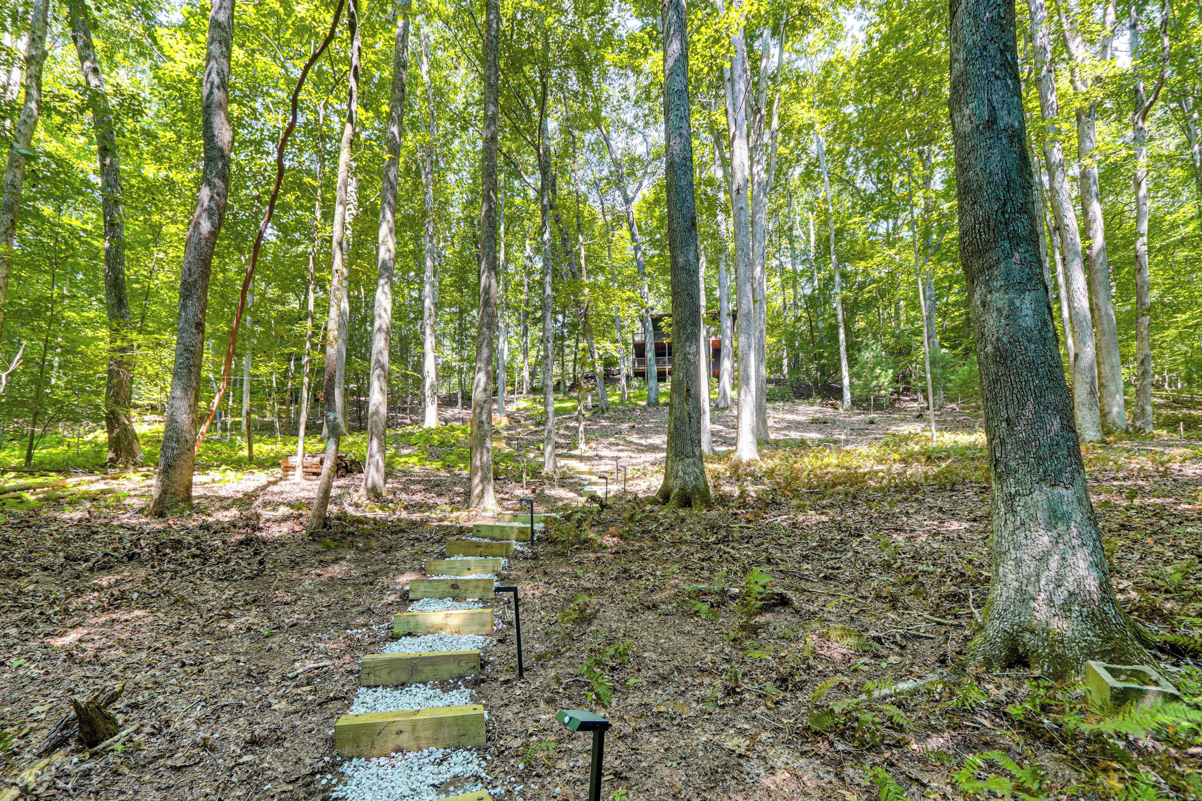 A forested area with a wooden pathway leading to a building.