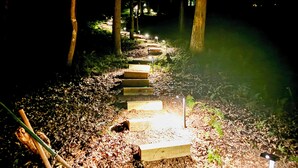 A pathway with steps leading through a wooded area, illuminated by lights. - Peaceful Blue Ridge Cabin w/ Decks & Fire Pit (Blue Ridge)
