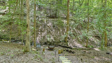 Une zone boisée traversée par un sentier en bois.
