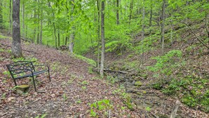 A forested area with a bench and a small stone ledge. - Peaceful Blue Ridge Cabin w/ Decks & Fire Pit (Blue Ridge)