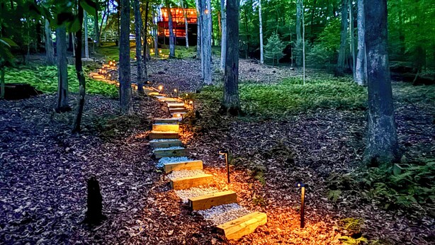 A wooden pathway with steps leading to a structure in a forested area. - Peaceful Blue Ridge Cabin w/ Decks & Fire Pit (Blue Ridge)