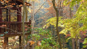 A cabin with a wooden deck surrounded by autumn foliage. - Peaceful Blue Ridge Cabin w/ Decks & Fire Pit (Blue Ridge)