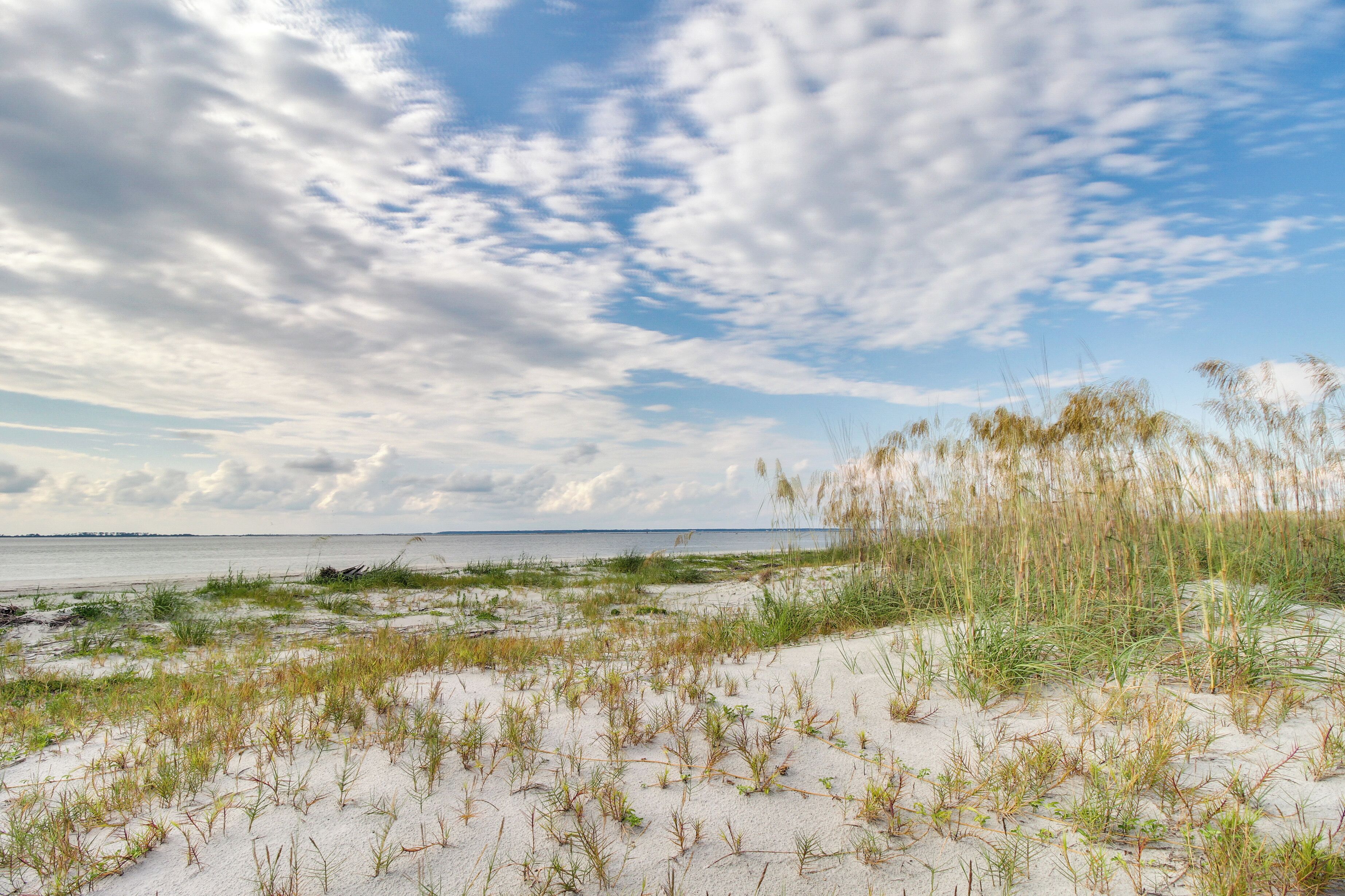 A beach with sand and sparse vegetation.