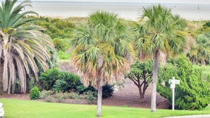 A coastal landscape with palm trees, a grassy area, and a body of water in the background.
