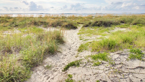 A sandy path through a grassy area with a distant view of the water.