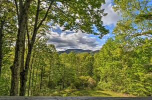 Uma área arborizada com uma estrada em primeiro plano e montanhas ao fundo.