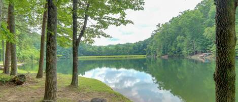 A serene lakeside setting with a wooden bench and a tree stump in the foreground, surrounded by lush greenery and a calm lake reflecting the sky.