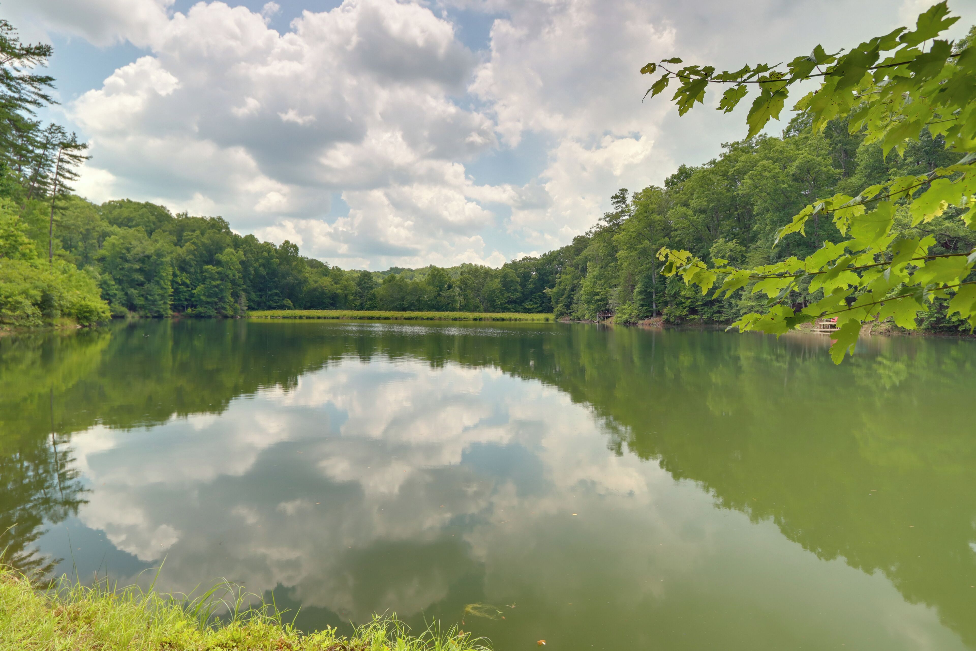 Un lac paisible, entouré d’une forêt verdoyante et dense, sous un ciel dégagé.