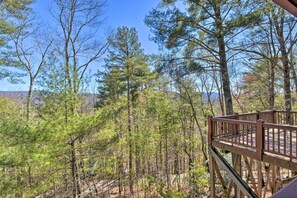 Interior - 5 Mi to Dtwn Blue Ridge: 'whitetail Retreat' (Blue Ridge)