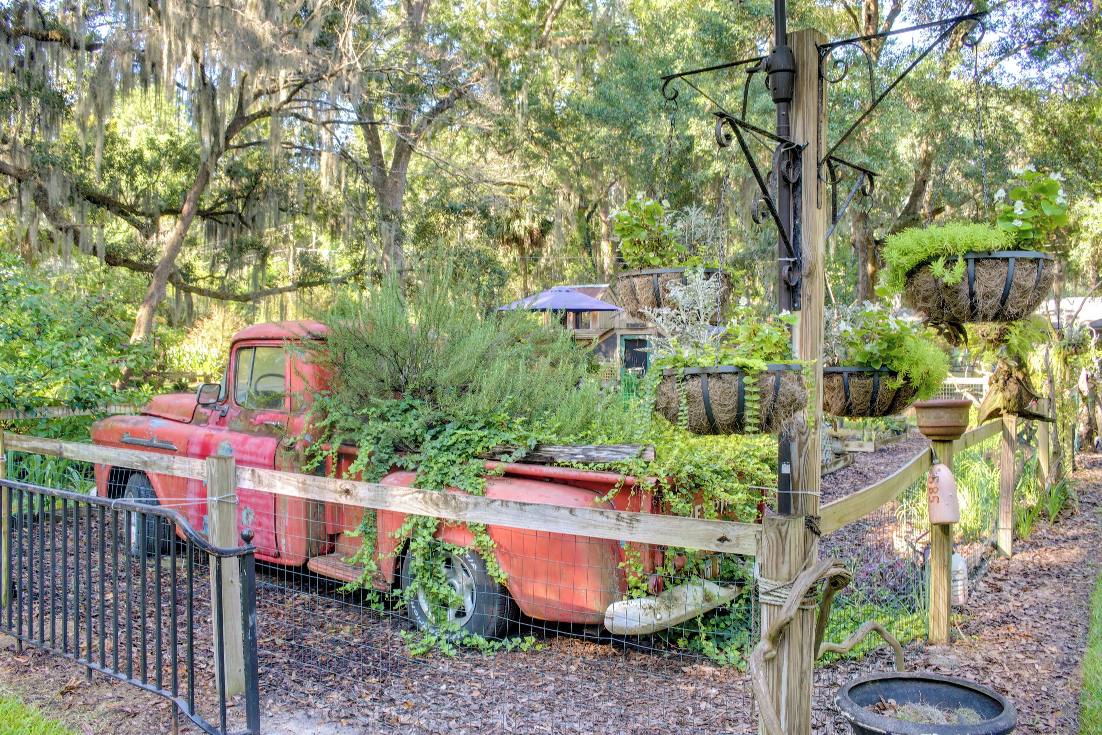 Un entorno rural con un tractor rojo antiguo rodeado de vegetación y una valla de madera.
