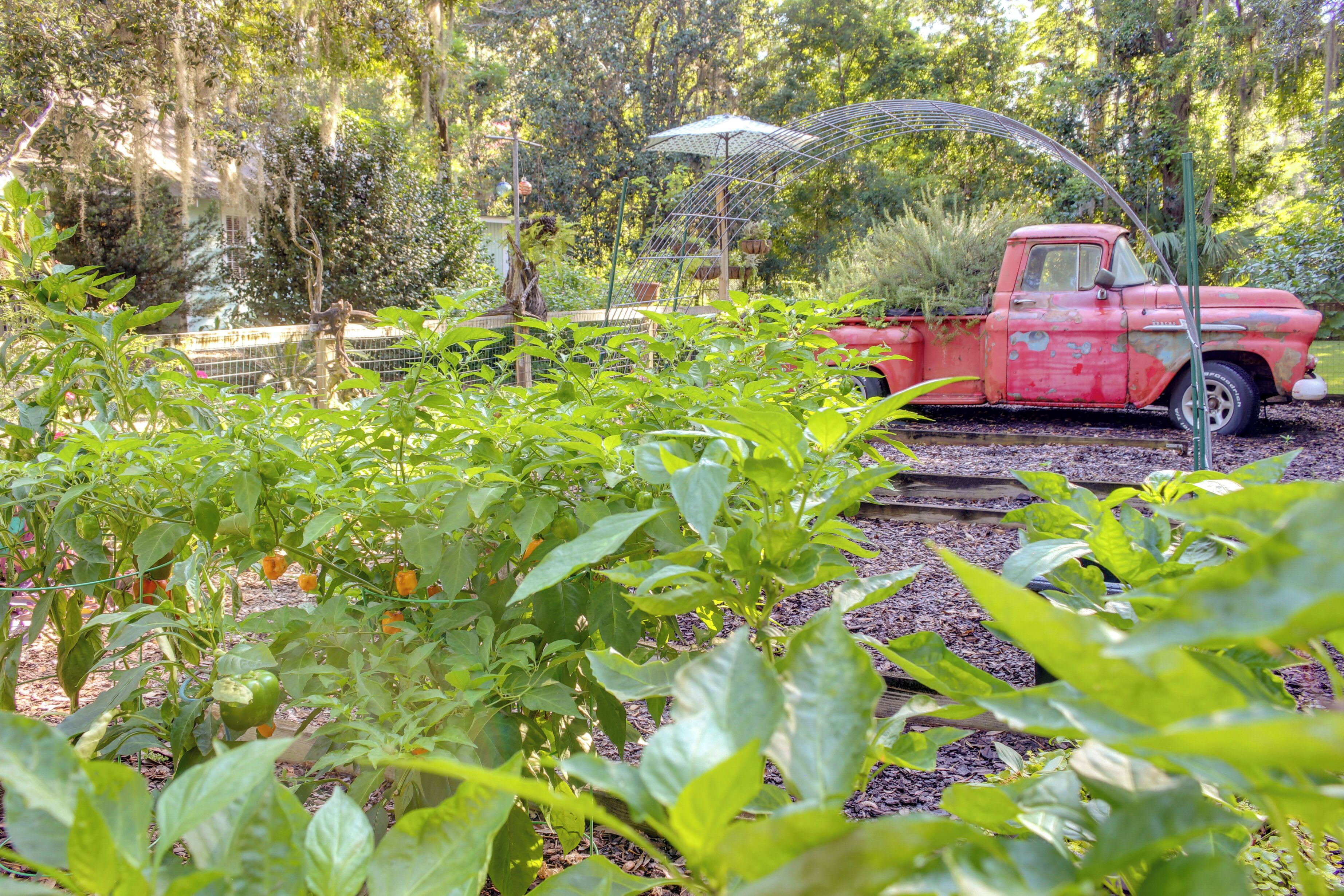 A vintage red truck parked in a garden with green plants and a metal structure in the background.