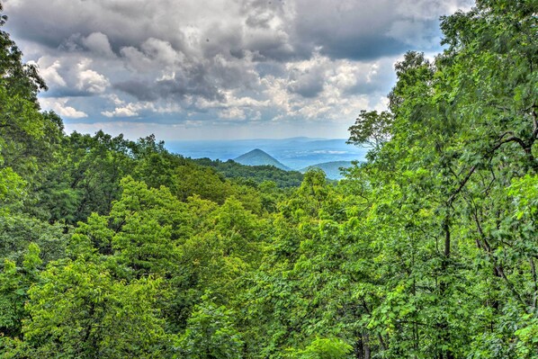 A lush forested landscape with a mountain in the distance and a cloudy sky.
