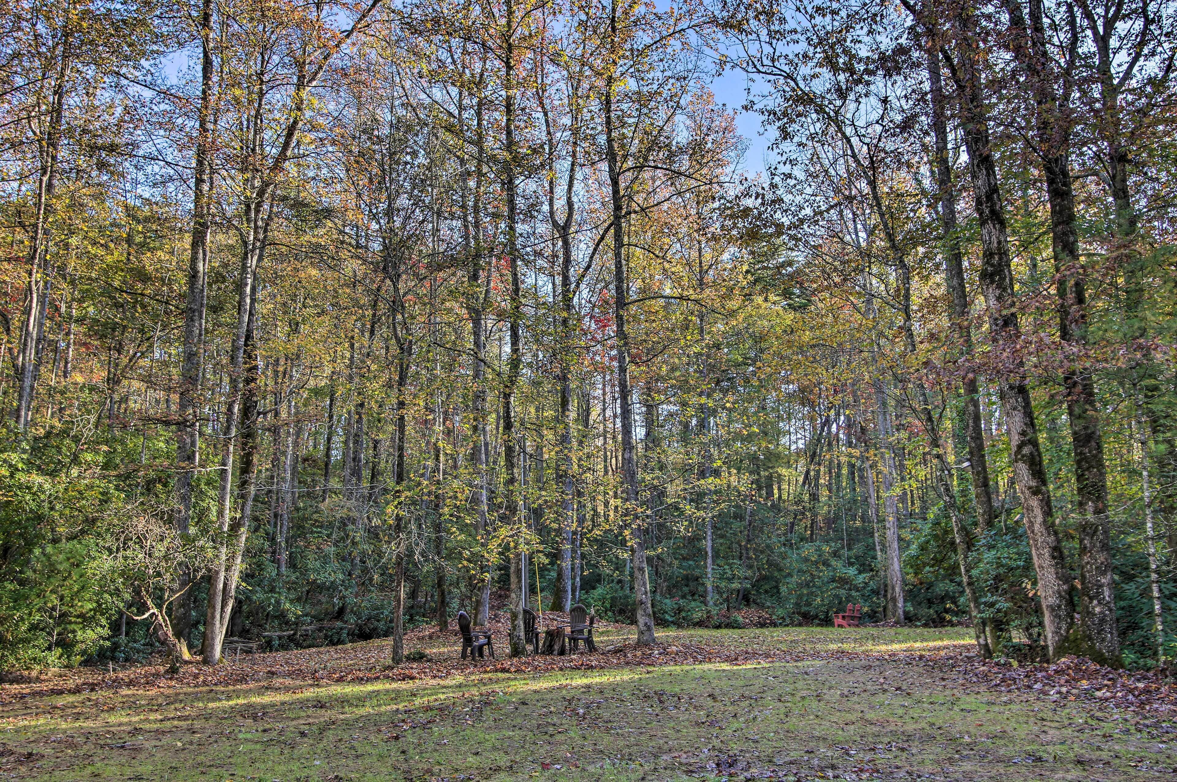 A forested area with a clear path and a small clearing with a bench and chairs.
