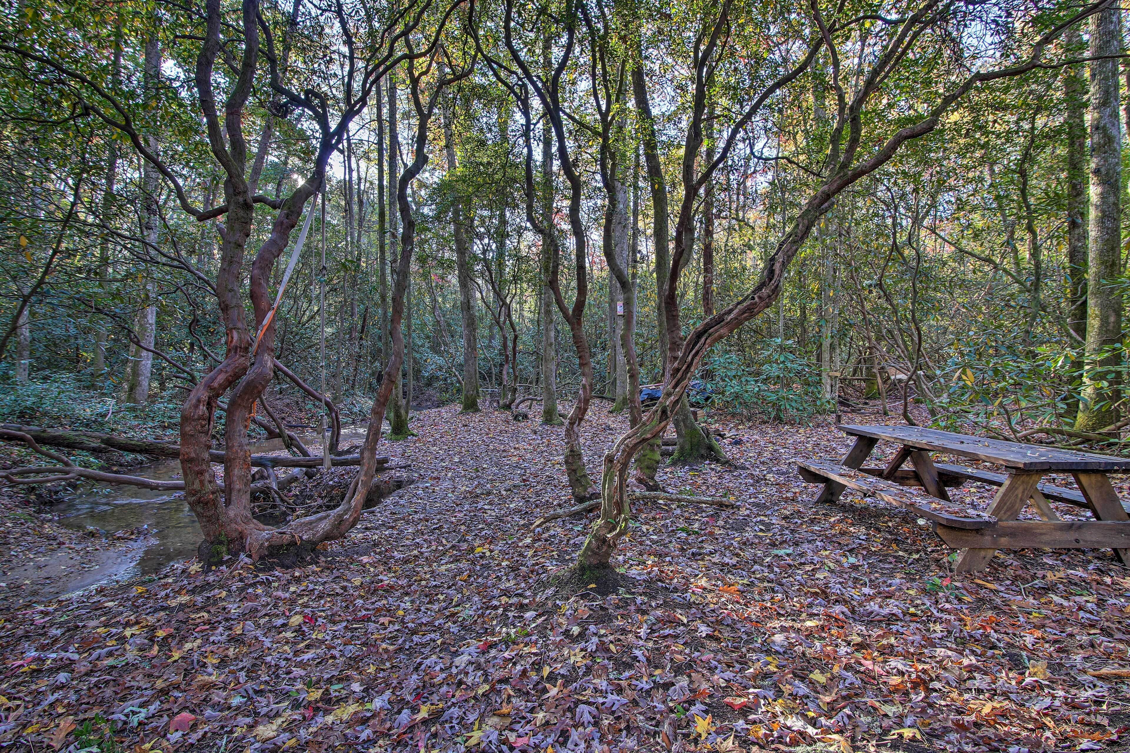 Un área boscosa con una mesa de picnic de madera.