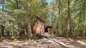 A rustic cabin surrounded by a forest with a gravel path leading to the entrance.