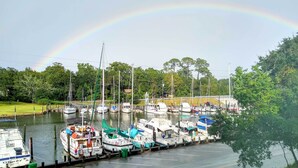 A marina with multiple boats docked, surrounded by trees and a clear sky. - Harbor Oaks Haven: Walk to Front Beach & Downtown! (Ocean Springs)