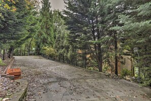 A concrete pathway flanked by dense evergreen trees, leading to a wooden cabin.