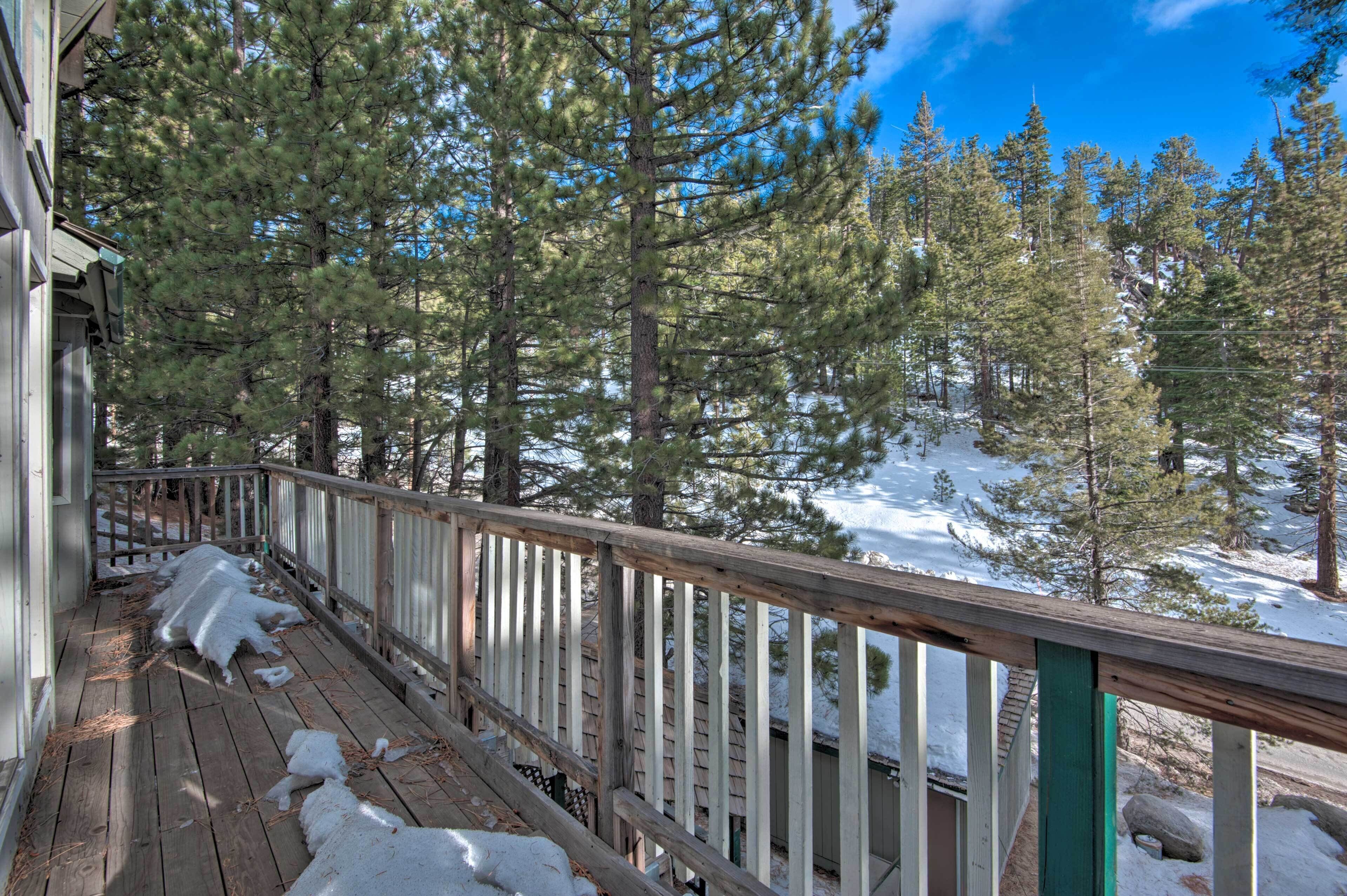 Una terraza de madera cubierta de nieve, con árboles a su alrededor.