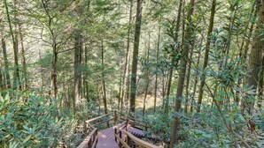 Eine Holztreppe führt in einen bewaldeten Bereich.
