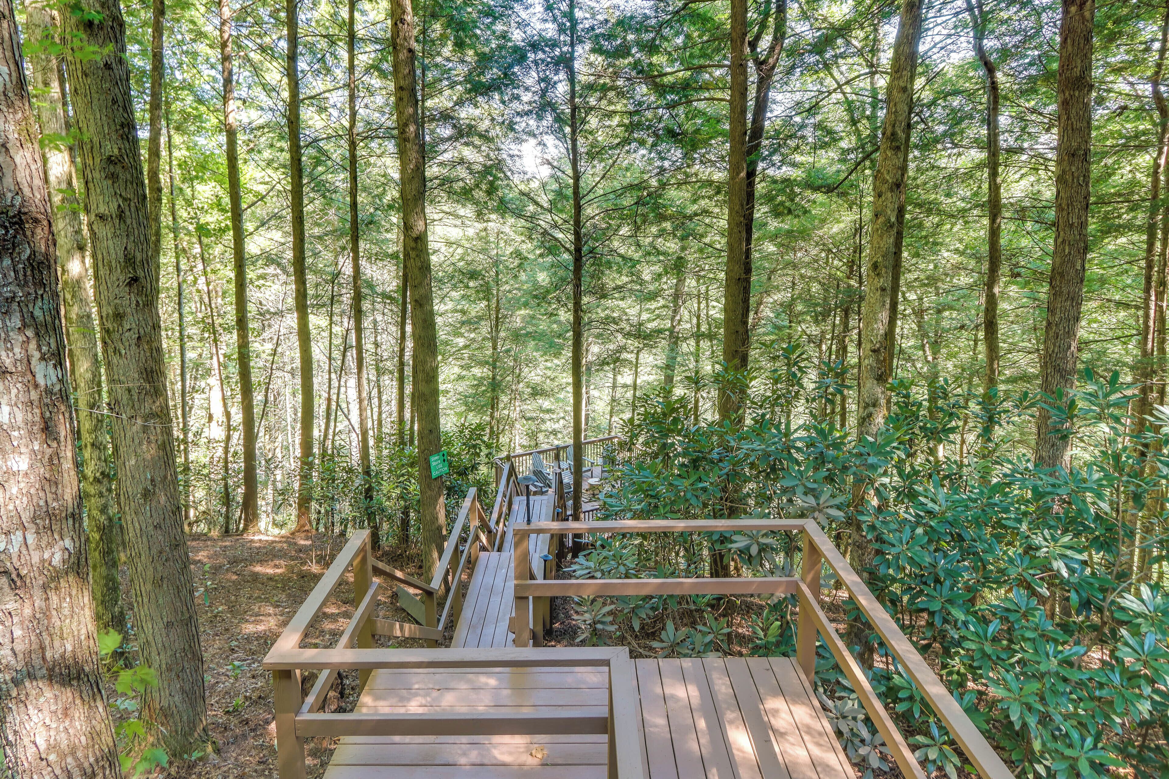 Una escalera de madera que conduce a un área boscosa, con una terraza de madera y bancos.