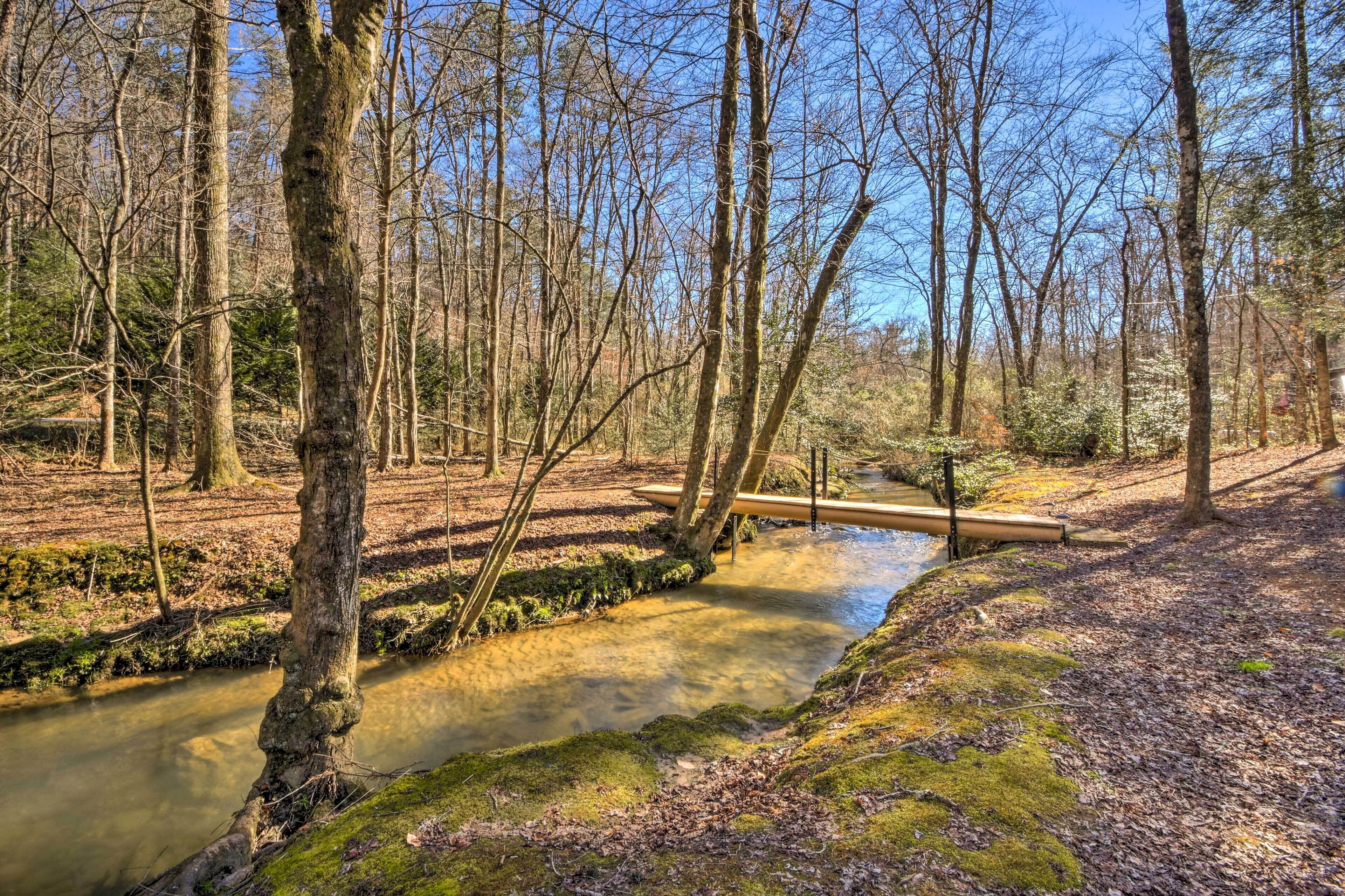 A forested area with a clear stream and a wooden bridge.