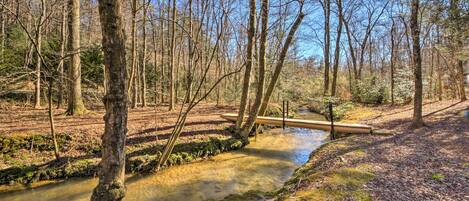 A forested area with a clear stream and a wooden bridge.