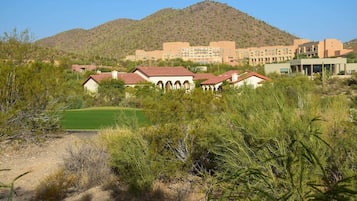 Apartment (1 Bedroom) | Interior