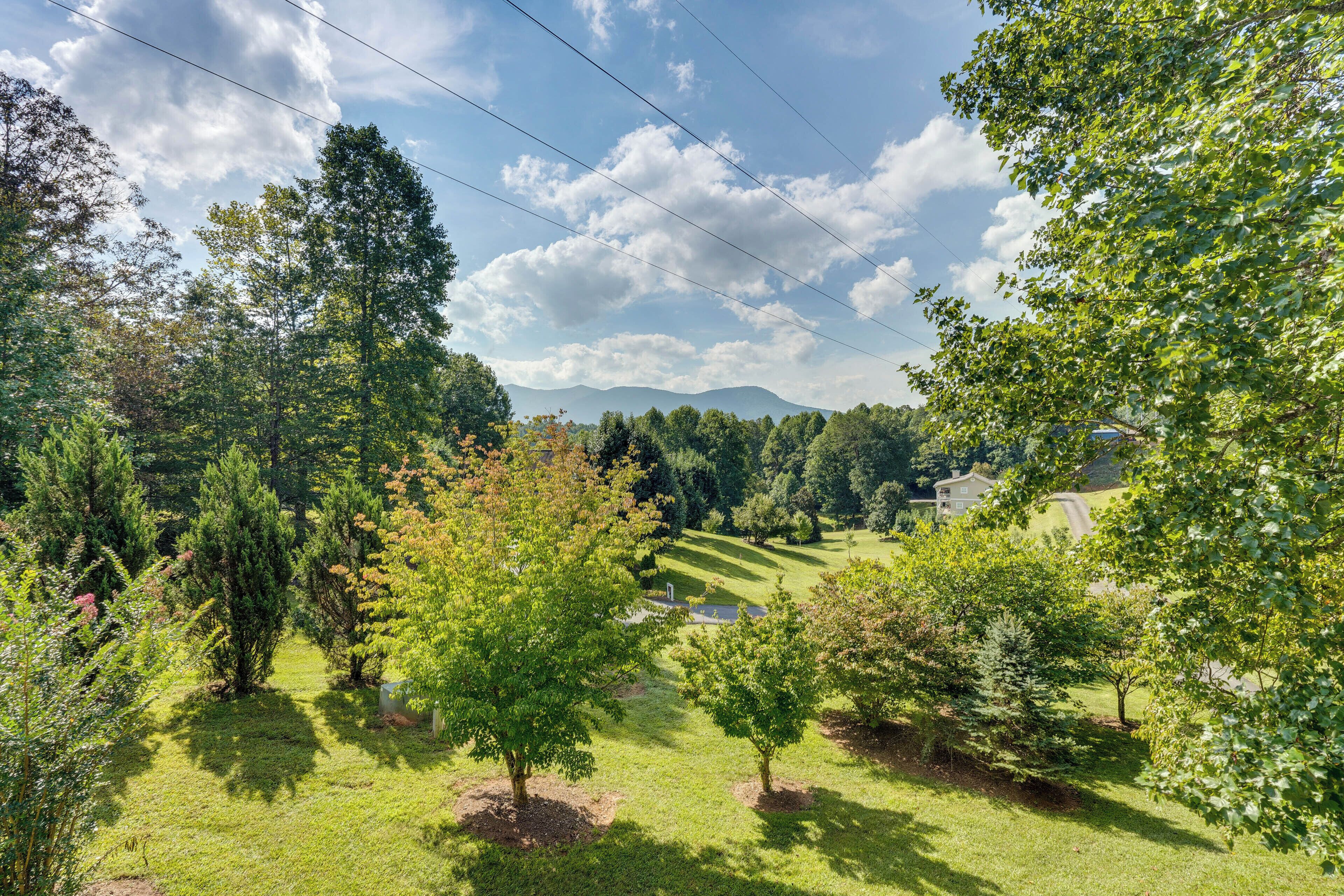 Üppige grüne Landschaft mit Bäumen und einem Haus in der Ferne.