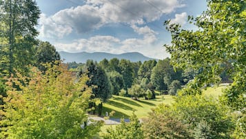 A lush green landscape with a clear sky, trees, and a distant mountain range.