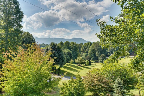 A lush green landscape with a clear sky, trees, and a distant mountain range.