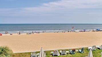 Apartment (0 Bedroom) | Interior