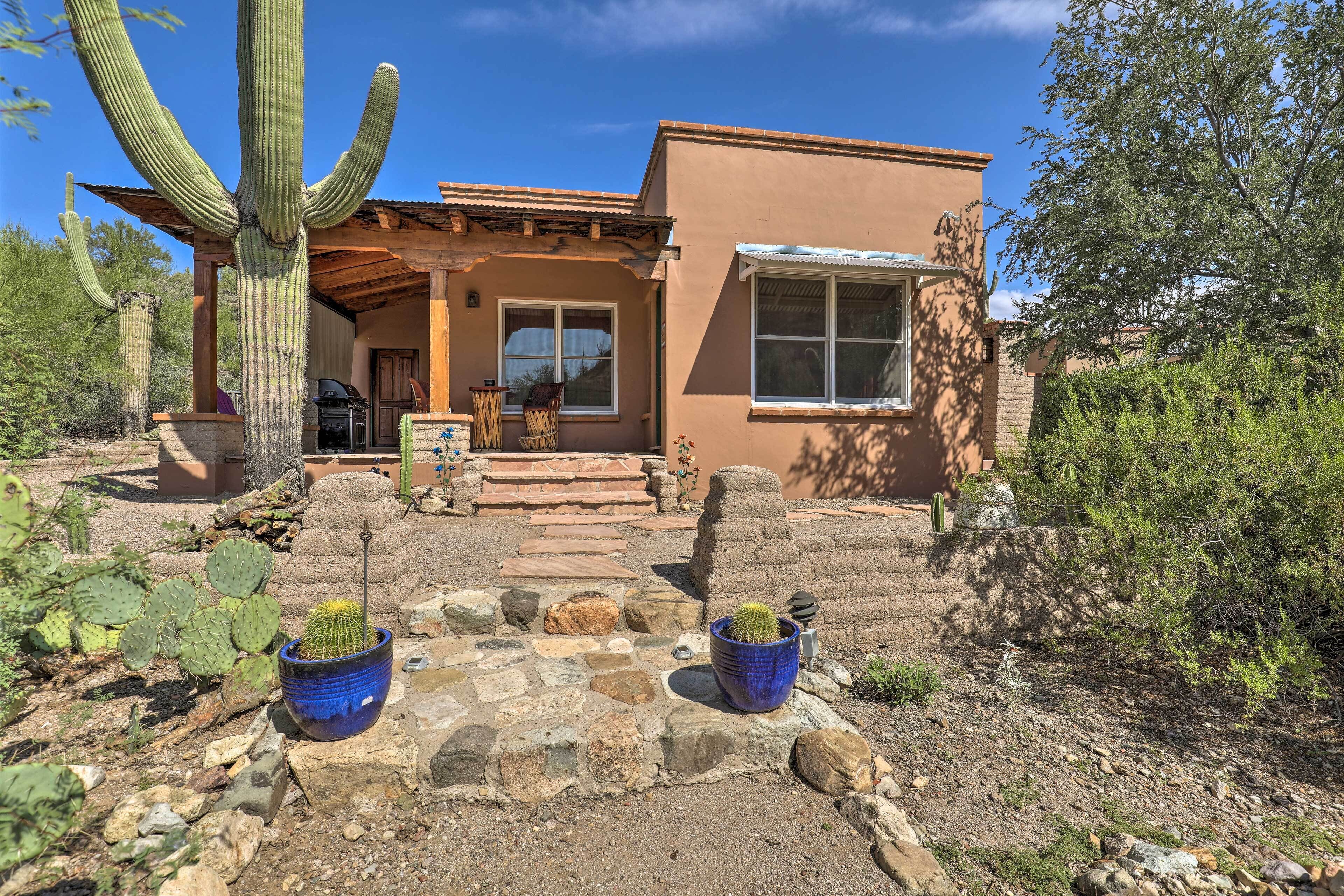Una casa con un patio, un cactus y una planta en maceta.