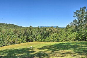 Cottage (2 Bedrooms) | Interior - Blue Ridge Cottage: Modern Solace in the Mountains (Blue Ridge)