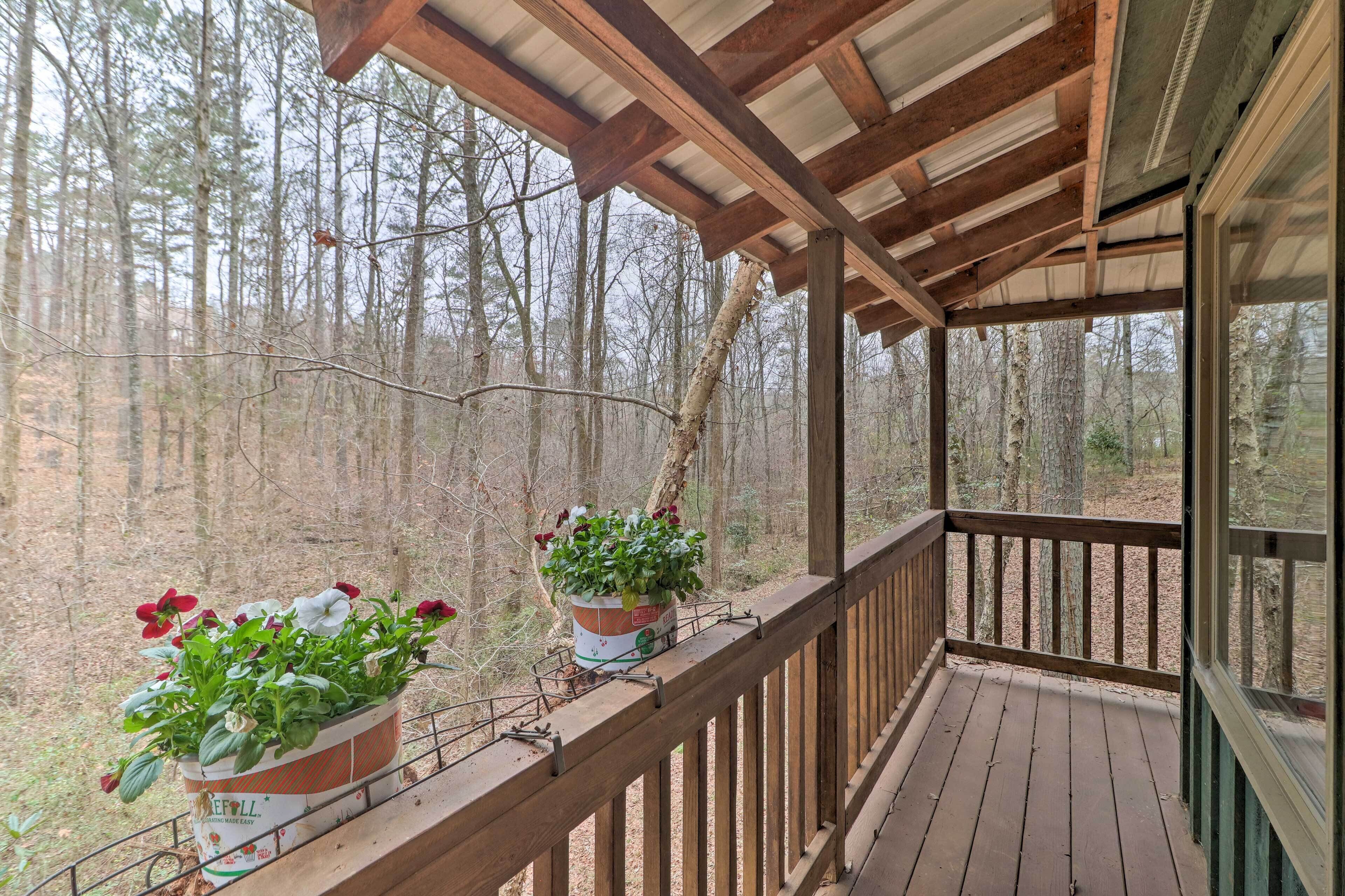 Eine Holzterrasse mit Geländern, Blumentöpfen und Blick auf einen Wald.