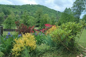 House (3 Bedrooms) | Interior - Hot Tub & Fire Pit: Pet-friendly Clayton Escape! (Clayton)